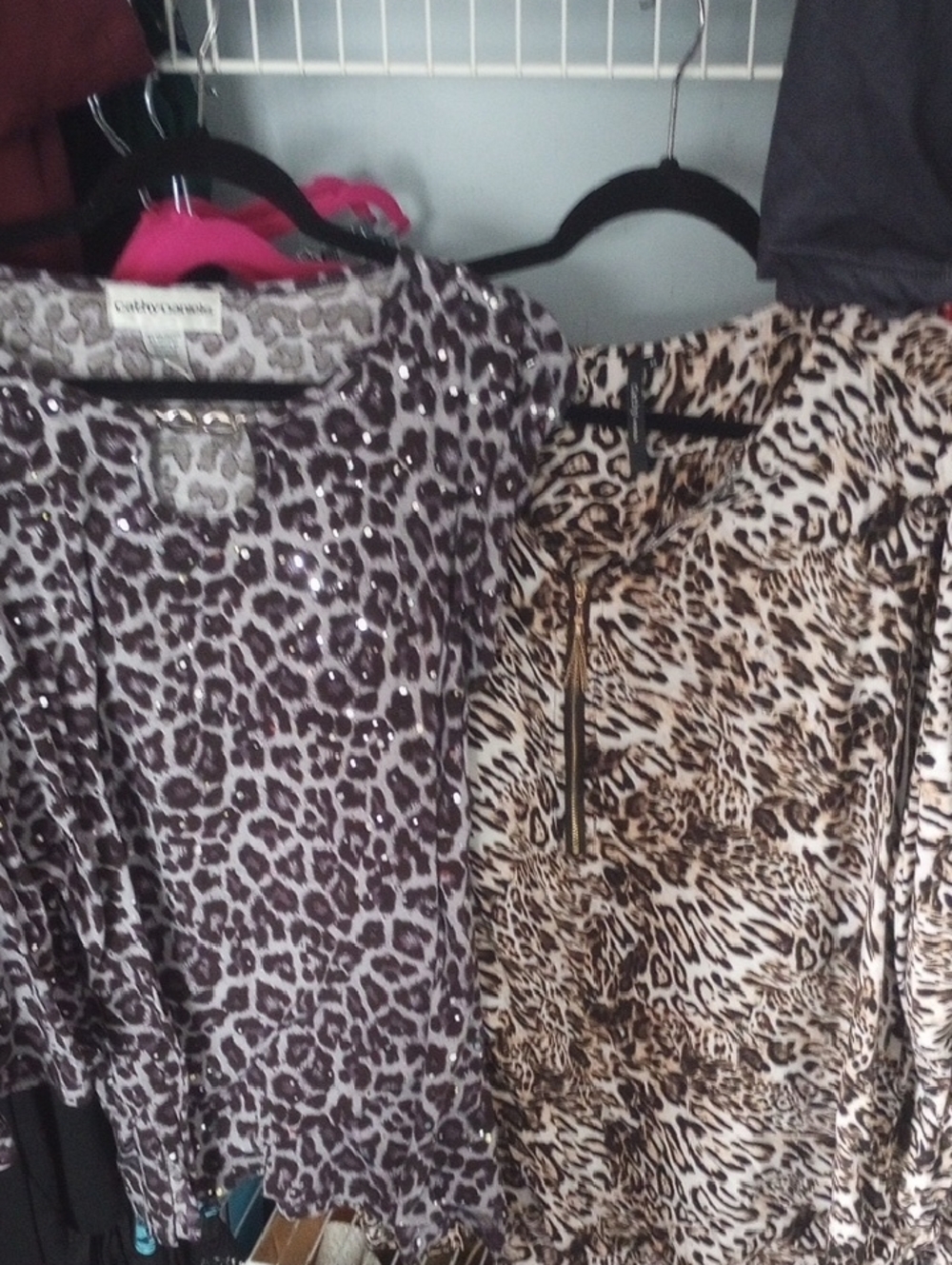 Catherines Leopard Print Long Sleeve Tunic - Taupe and Brown